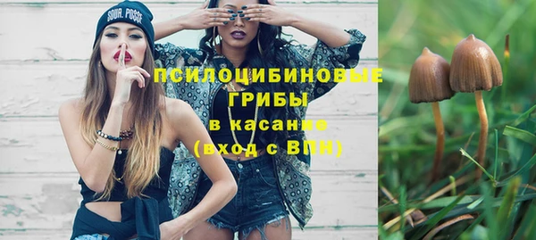 ГАЛЛЮЦИНОГЕННЫЕ ГРИБЫ Белокуриха