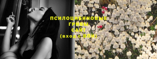 ГАЛЛЮЦИНОГЕННЫЕ ГРИБЫ Белокуриха
