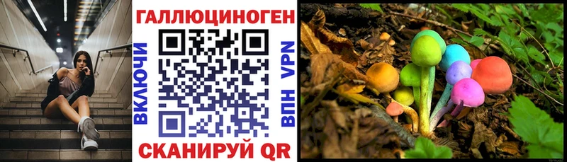 mega ссылки  Гремячинск  Псилоцибиновые грибы мицелий 